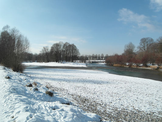 Flaucher - Februar 2015 