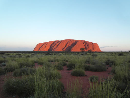 Am Uluru - Februar 2015