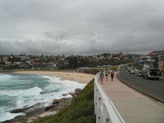 Von Bindi Beach zum Bronte Beach - Sydney - Februar 2015
