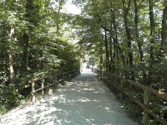 Flaucher - Blick nach Norden  - Juni 2015 