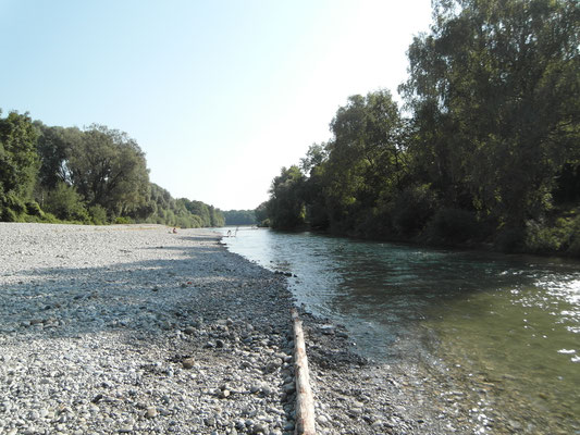 Flaucher - Blick nach Norden  - Juni 2015 