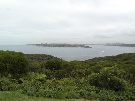 Manly - Sydney - Februar