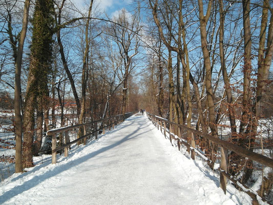 Flaucher - Februar 2015 