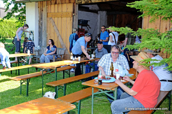 Tag des offenen Bienenstocks beim Fröhlichen Imker Anton Fröhlich in Spillern