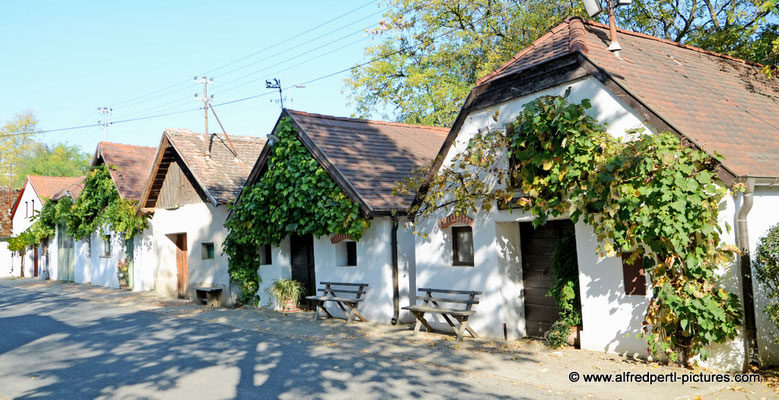 Kellergasse in Hadres