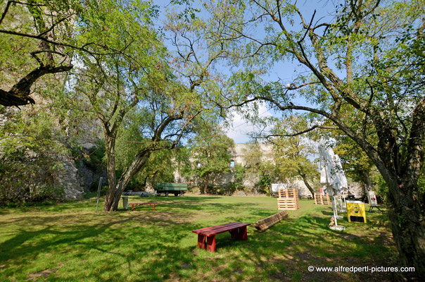 Ruine Falkenstein