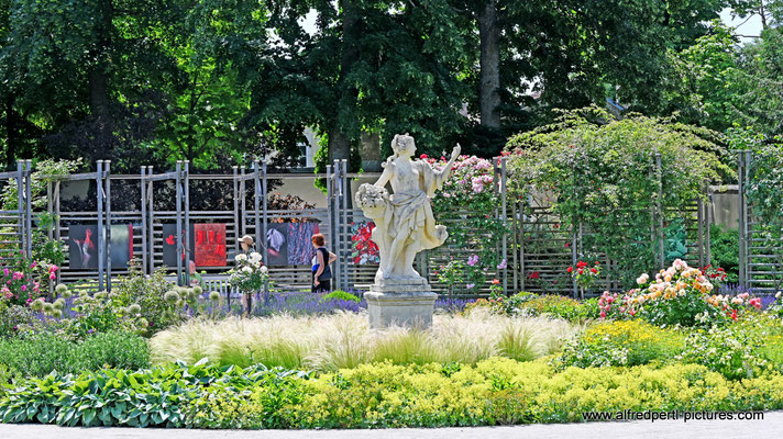 Rosarium in Baden bei Wien