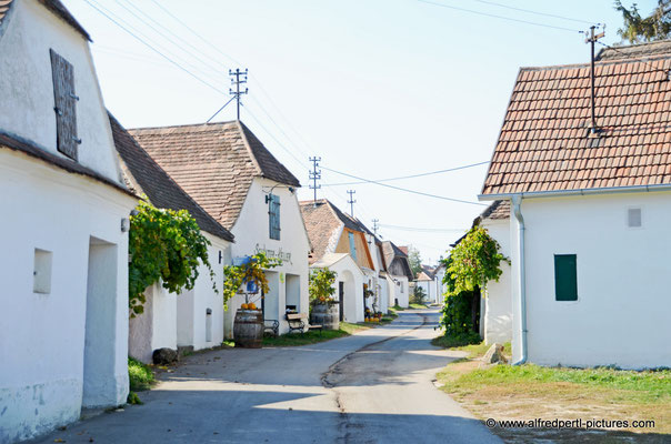 Kellergasse in Zellerndorf ("Maulavern")