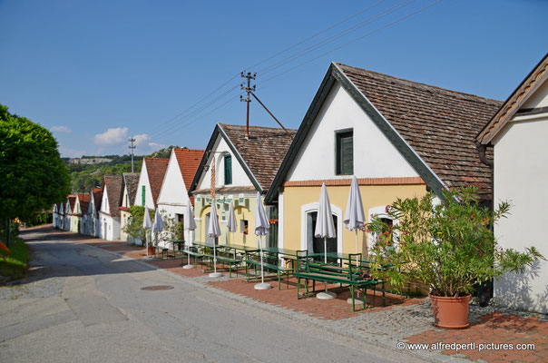 Kellergasse in Falkenstein