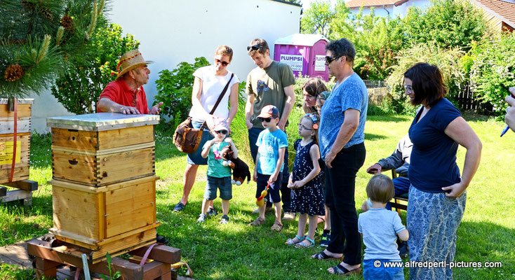 Tag des offenen Bienenstocks beim Fröhlichen Imker Anton Fröhlich in Spillern