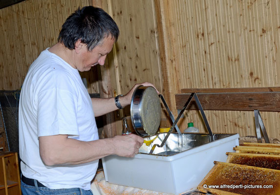 Tag des offenen Bienenstocks beim Fröhlichen Imker Anton Fröhlich in Spillern