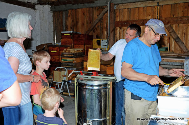 Tag des offenen Bienenstocks beim Fröhlichen Imker Anton Fröhlich in Spillern