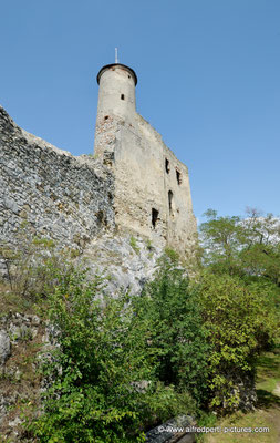 Ruine Falkenstein