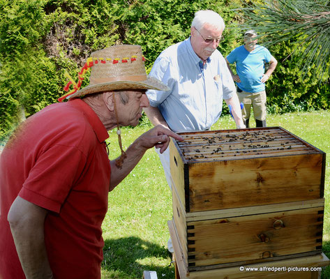 Tag des offenen Bienenstocks beim Fröhlichen Imker Anton Fröhlich in Spillern