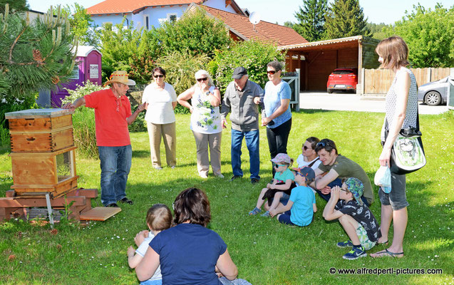 Tag des offenen Bienenstocks beim Fröhlichen Imker Anton Fröhlich in Spillern