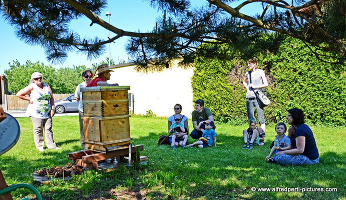 Tag des offenen Bienenstocks beim Fröhlichen Imker Anton Fröhlich in Spillern