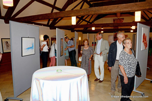 Vernissage "Zwischen Zensur und Freiheit" in Bisamberg