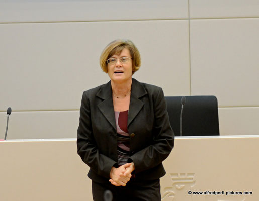 Zukunftsforum Korneuburg - Präsentation des Masterplans 2036 im Korneuburger Justizzentrum
