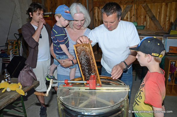 Tag des offenen Bienenstocks beim Fröhlichen Imker Anton Fröhlich in Spillern