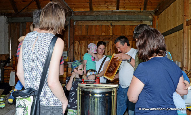 Tag des offenen Bienenstocks beim Fröhlichen Imker Anton Fröhlich in Spillern