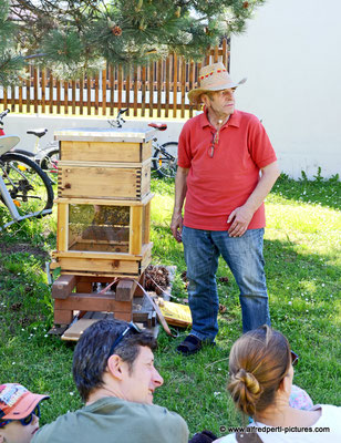 Tag des offenen Bienenstocks beim Fröhlichen Imker Anton Fröhlich in Spillern