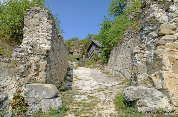 Ruine Falkenstein