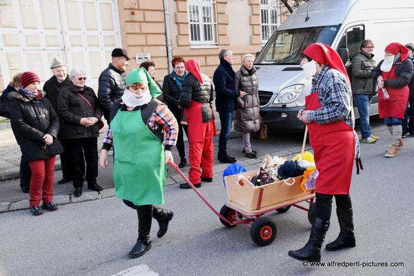 Faschingsumzug in Korneuburg 2016