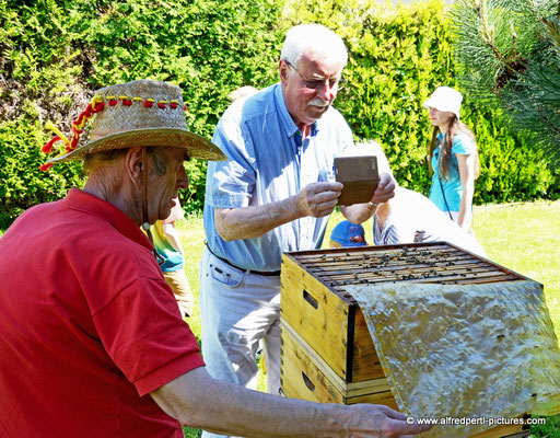 Tag des offenen Bienenstocks beim Fröhlichen Imker Anton Fröhlich in Spillern