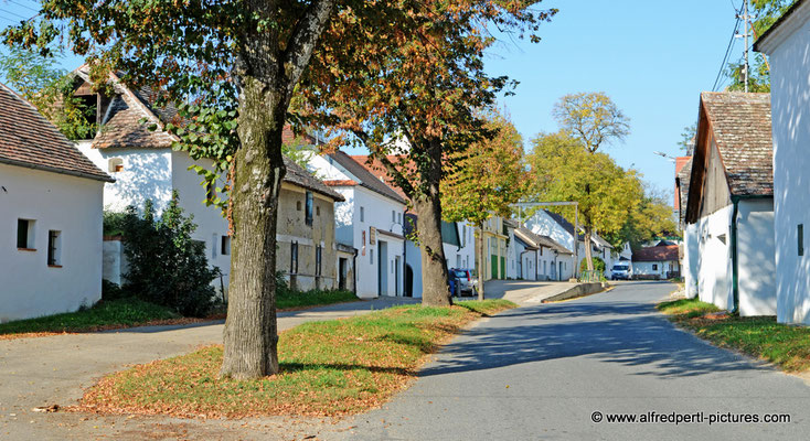 Kellergasse in Hadres