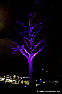 Impressionen von Wiener Adventmärkten - Karlsplatz