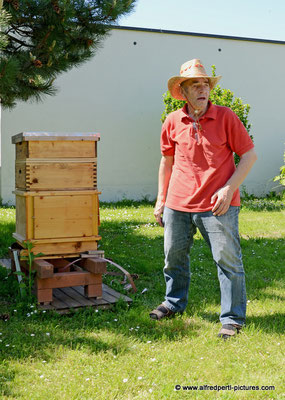 Tag des offenen Bienenstocks beim Fröhlichen Imker Anton Fröhlich in Spillern