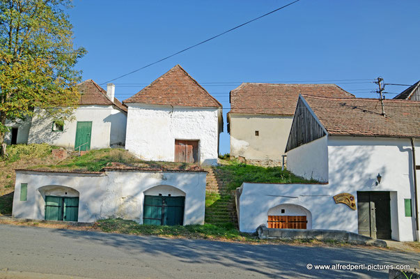 Kellergasse in Hadres