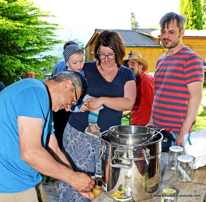 Tag des offenen Bienenstocks beim Fröhlichen Imker Anton Fröhlich in Spillern