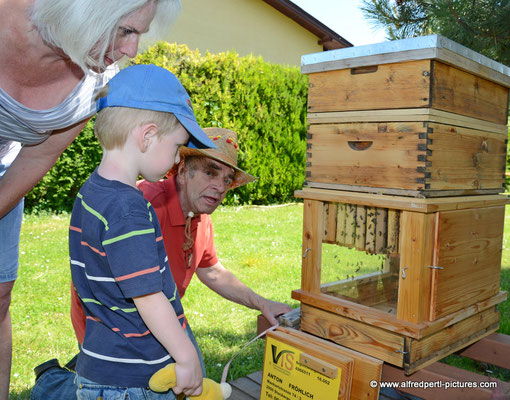 Tag des offenen Bienenstocks beim Fröhlichen Imker Anton Fröhlich in Spillern