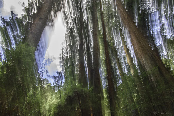 Mother Nature's son