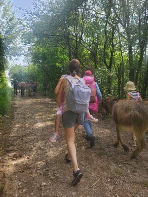 Eselwandern in der Eifel