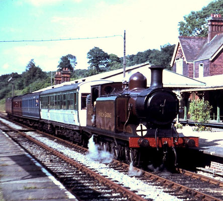 LBSCR Class E4 Birch Grove at Horstead Keynes, Bluebell Railway 1965