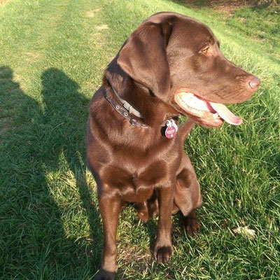 Murphy  (Bounty) Sommer 2015