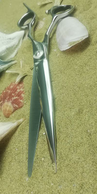 TOP BARBER 7.0  189,00 €