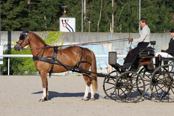 Promotion Münsingen 2016