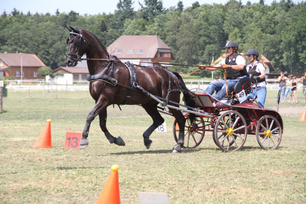 Zauggenried 2015