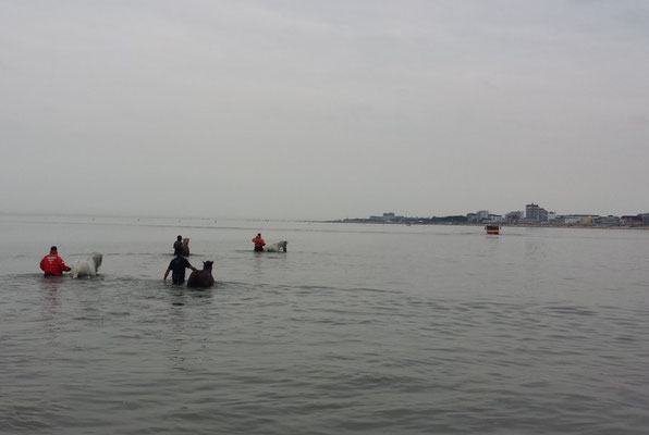 Langsam nähert sich der Duhner Strand © Freiwillige Feuerwehr Cuxhaven-Duhnen