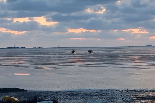 Zurück vor dem Strand © FF-Duhnen-Stickenbüttel