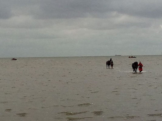 Kurz vor dem Strand © FF-Duhnen-Stickenbüttel