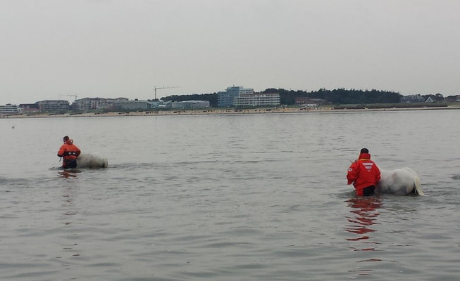 Anstrengendes Laufen im Wasser © Freiwillige Feuerwehr Cuxhaven-Duhnen