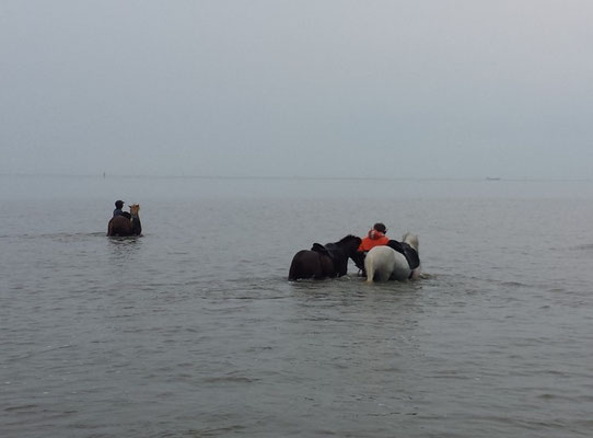 Grade eben aus dem Priel raus ins Flachere zum Wattweg © Freiwillige Feuerwehr Cuxhaven-Duhnen