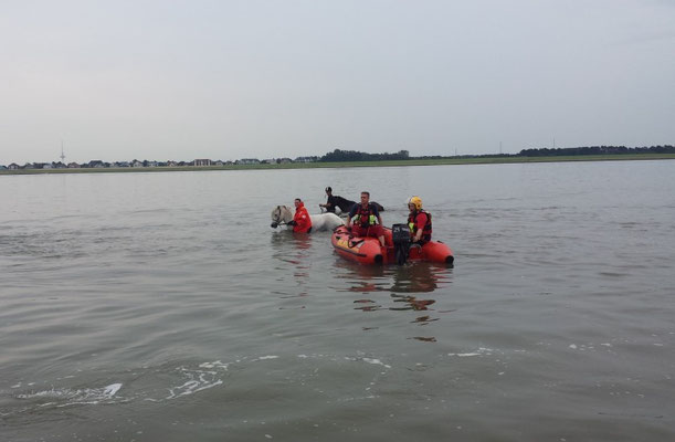 Die " Kuddel " der DLRG vor Ort © Freiwillige Feuerwehr Cuxhaven-Duhnen