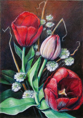 'Tulip', coloured pencil on paper, 