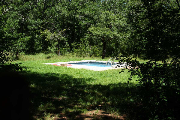 un petit écrin de verdure pour vous baigner dans la piscine