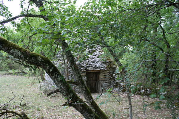 cette cazelle possède une porte en bois